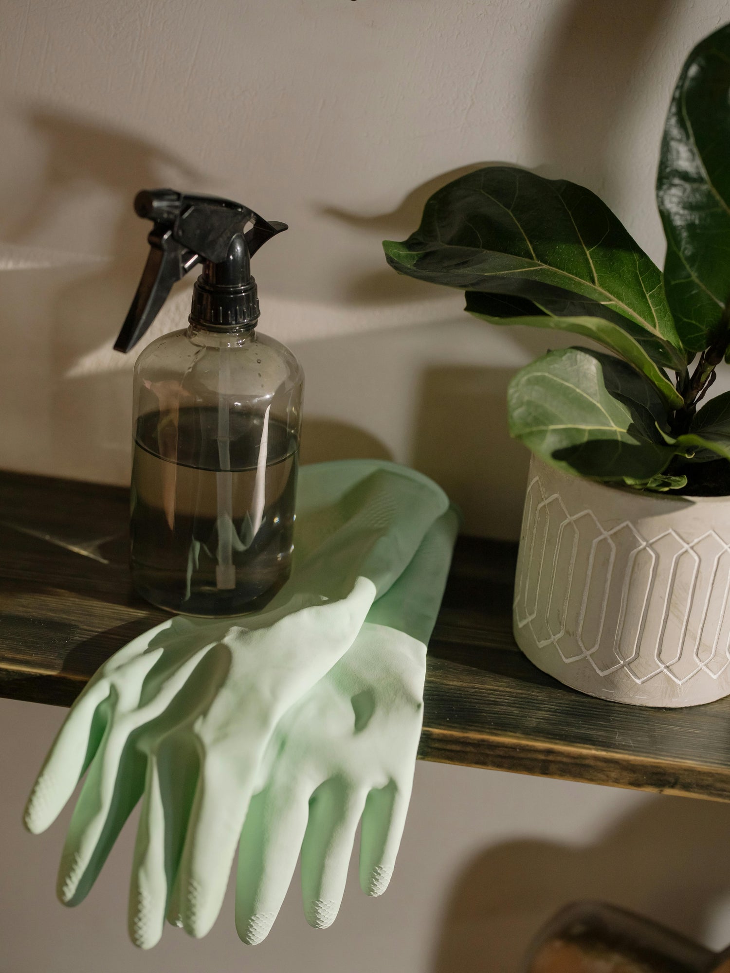 Cleaning & Organizing