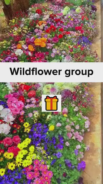 100 Flower Seed Varieties Pack + FREE Plant Growth Supplement!